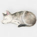 Coussin enfant Loup